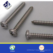 Fournisseur Phillips Self Tapping Screw